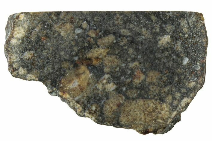 Lunar Meteorite Slice ( g) - NWA #312857